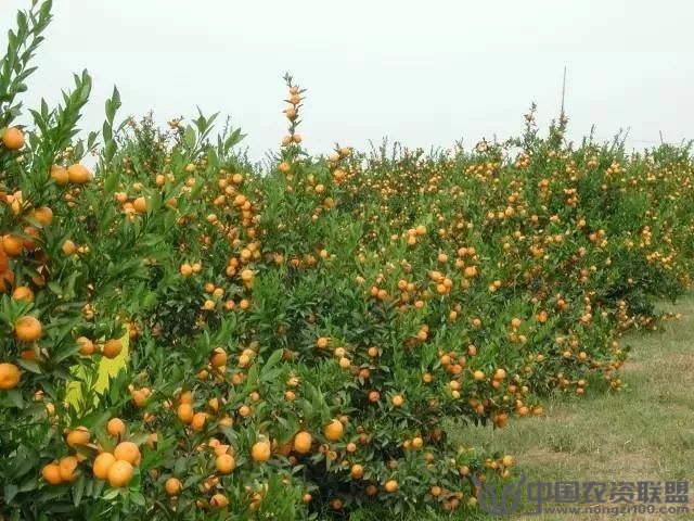 附件