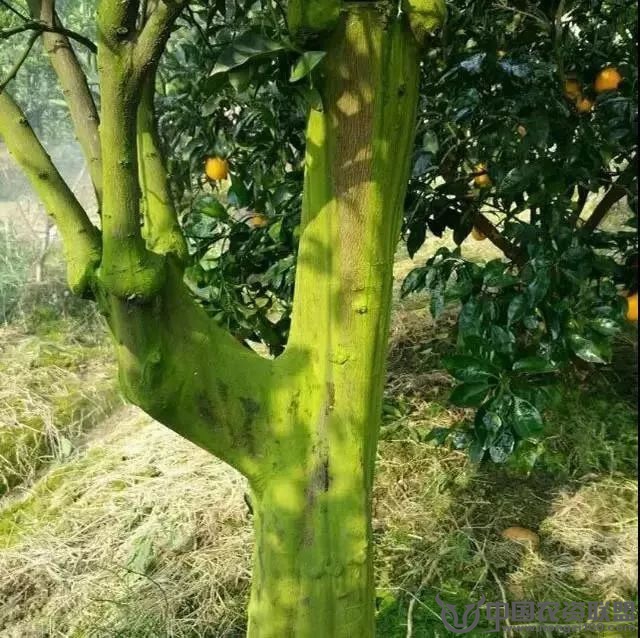 附件