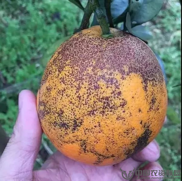 附件
