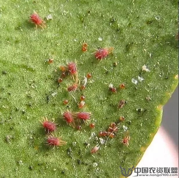 附件