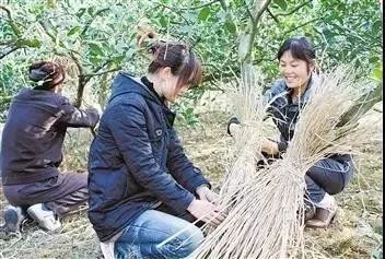 附件