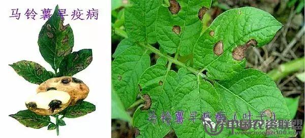 附件