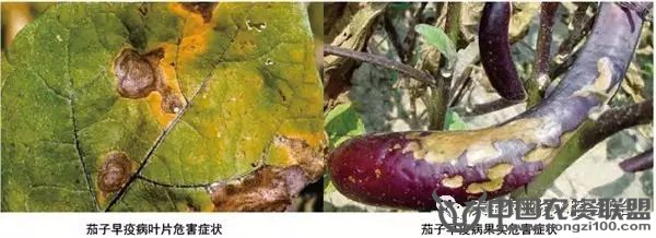 附件