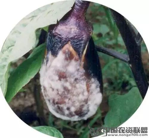 附件