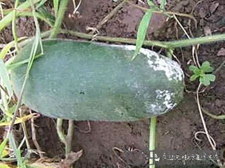 附件