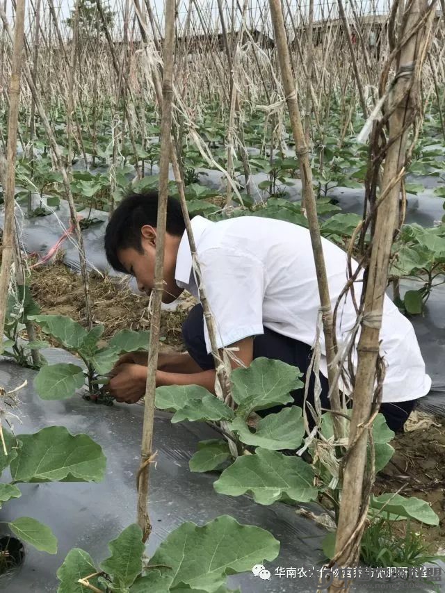 附件