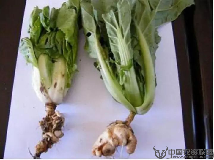 附件