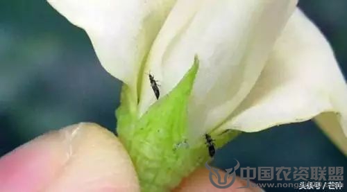 附件