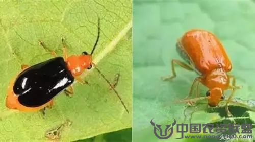 附件
