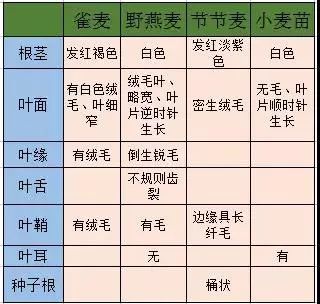 附件