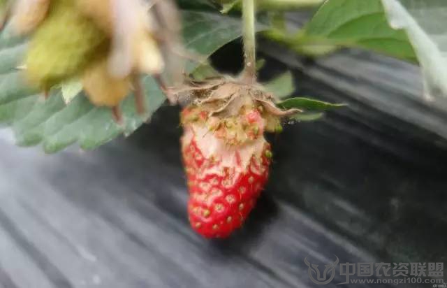 附件