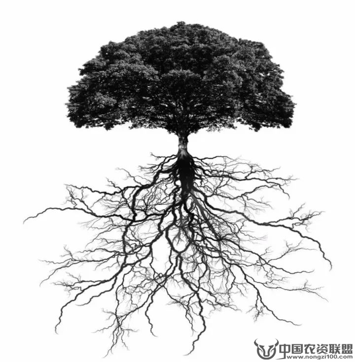 附件