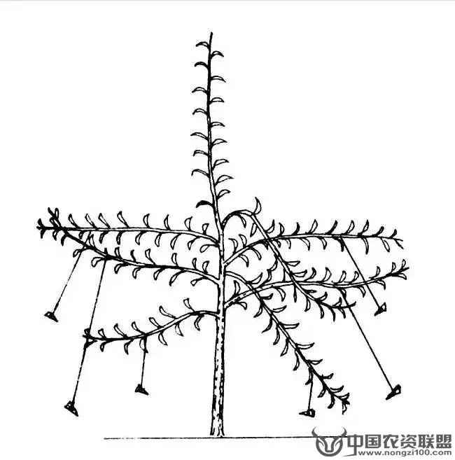 附件