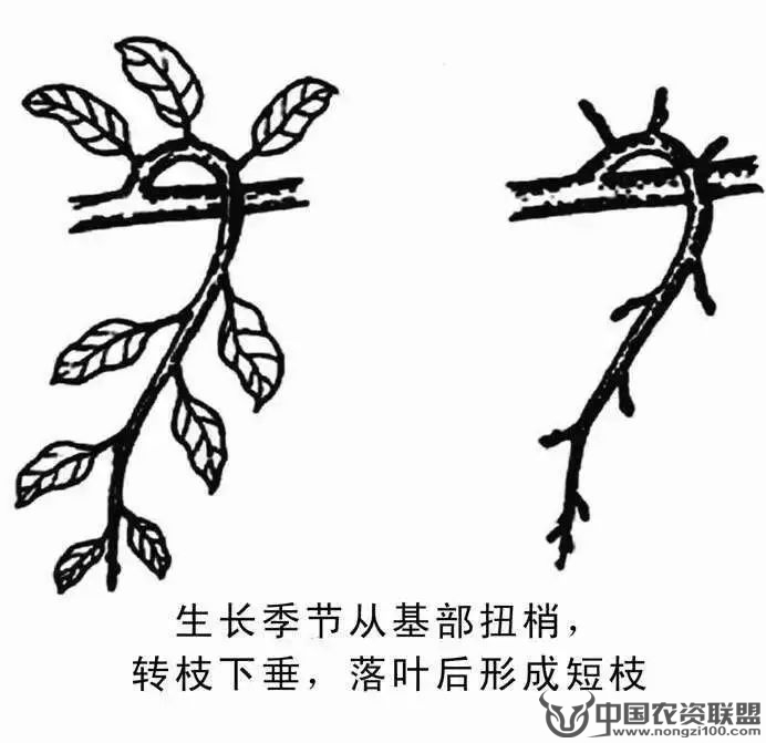 附件