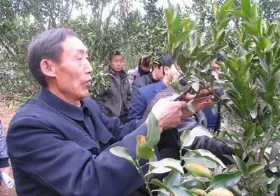 附件