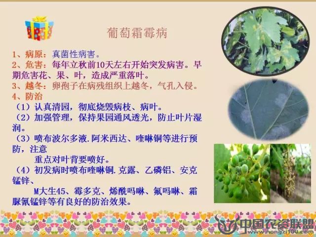 附件