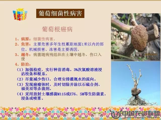 附件