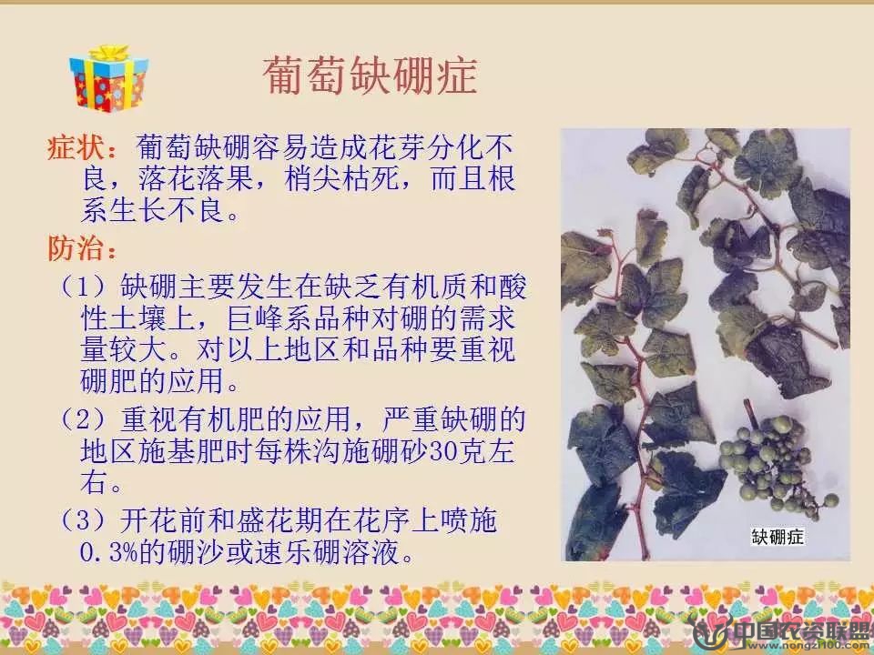 附件