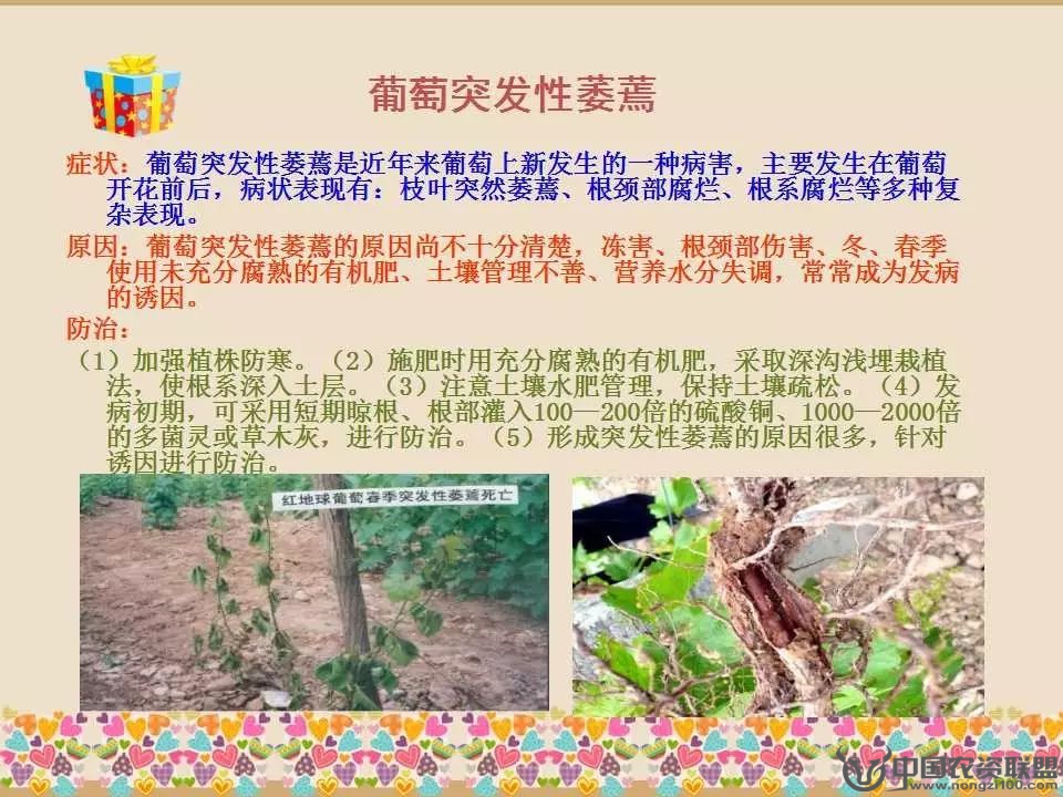 附件