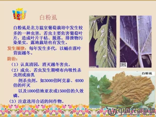 附件