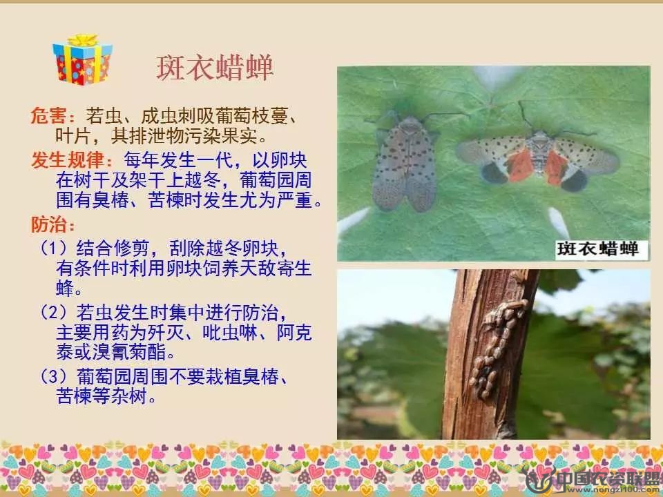 附件