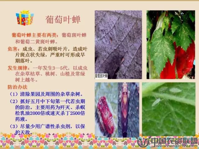 附件