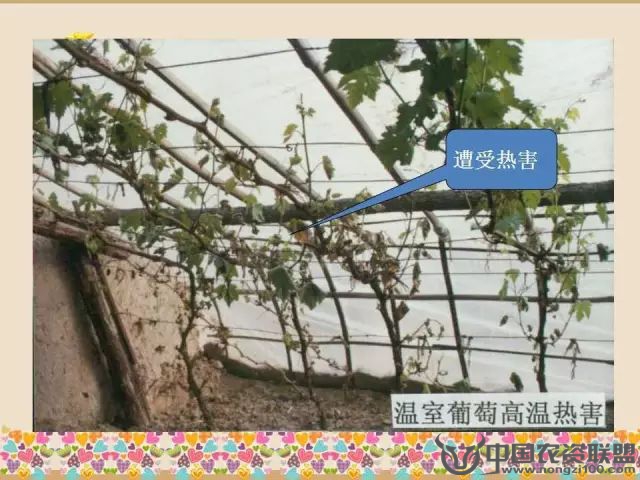 附件