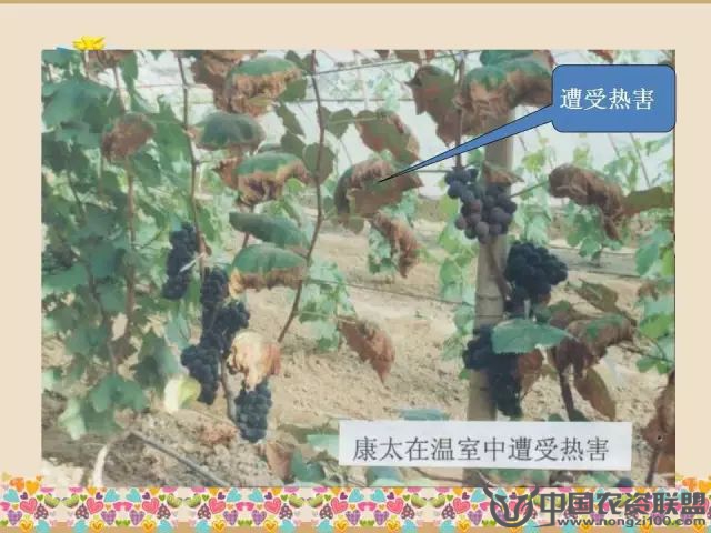 附件