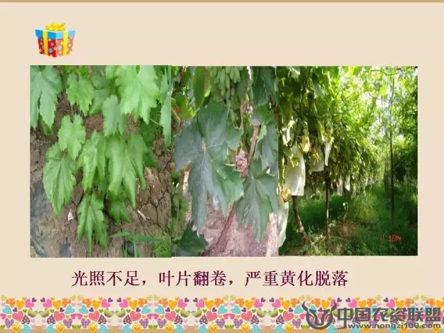 附件
