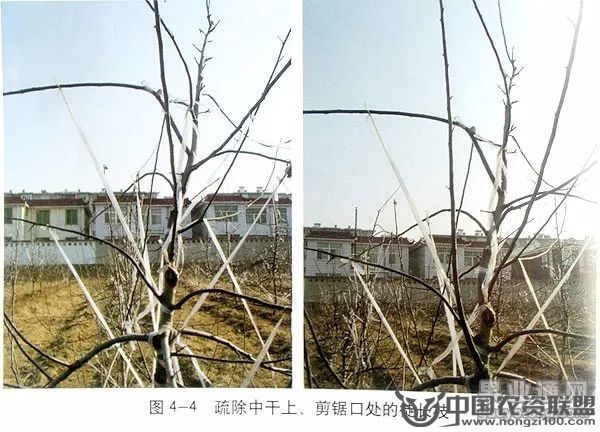 附件
