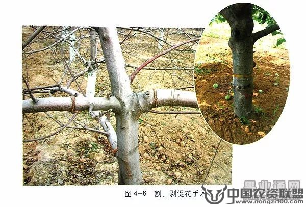 附件