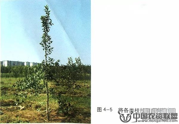 附件
