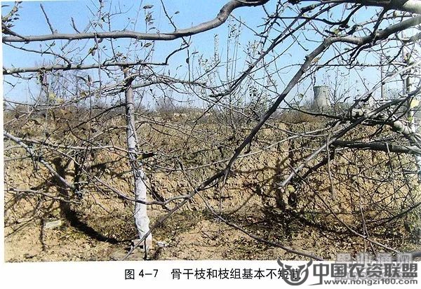 附件