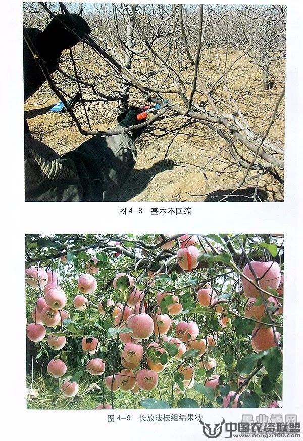 附件