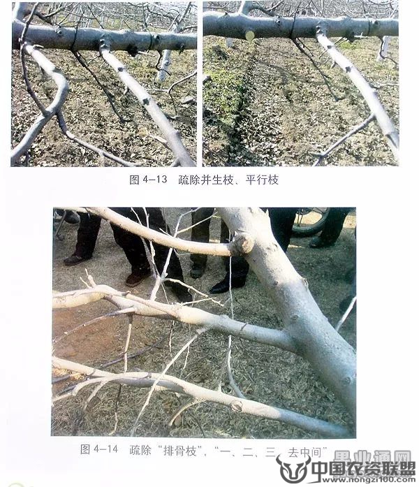 附件