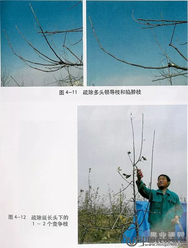 附件