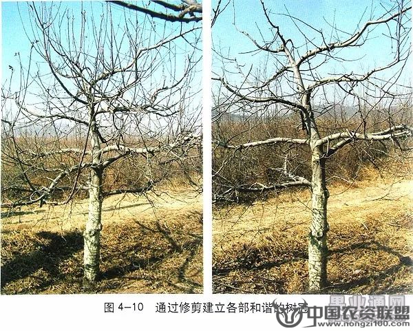 附件