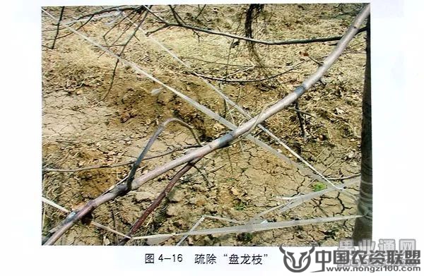 附件