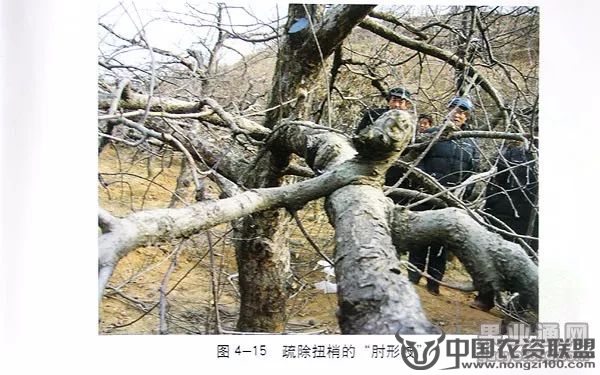 附件