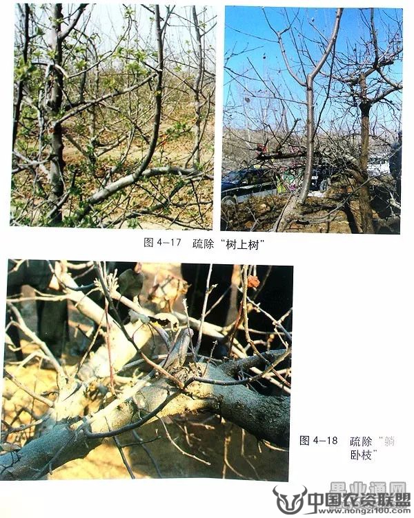 附件