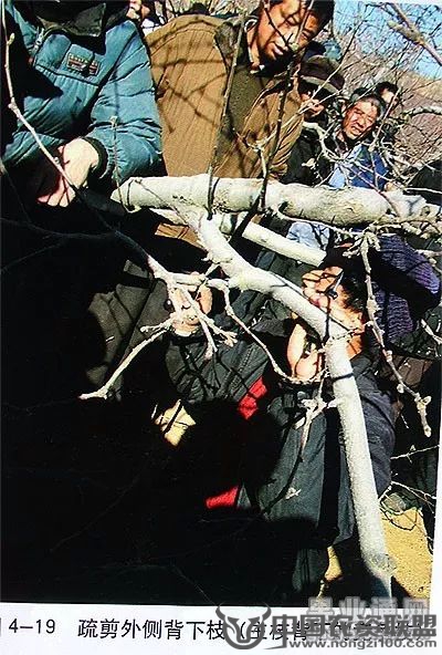 附件