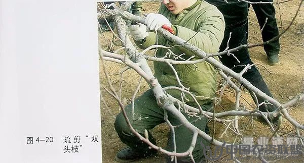 附件
