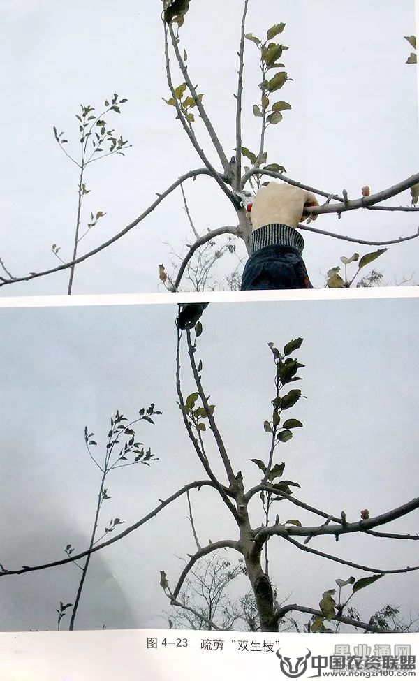 附件