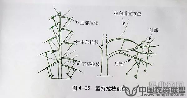 附件