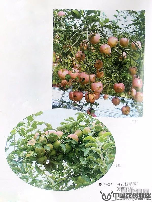 附件