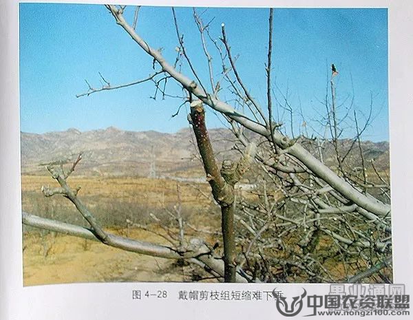 附件