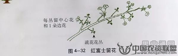 附件