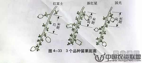 附件