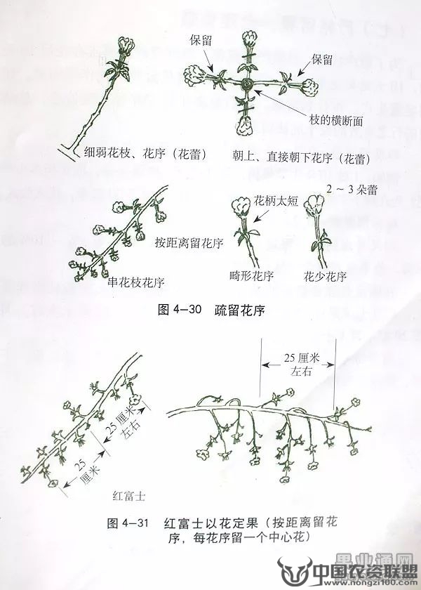 附件