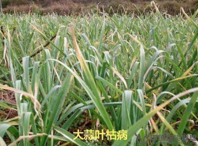 附件